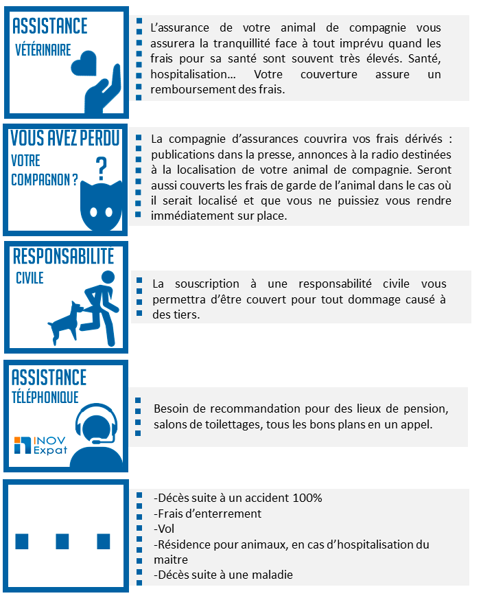 Assurance Animaux : comment fonctionne l'Assurance Animaux au Portugal ? 25 assurance animaux, chien, chat, assurance Espagne, chiens dangereux, responsabilité civile