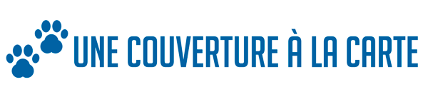 Assurance Animaux : comment fonctionne l'Assurance Animaux au Portugal ? 24 assurance animaux, chien, chat, assurance Espagne, chiens dangereux, responsabilité civile