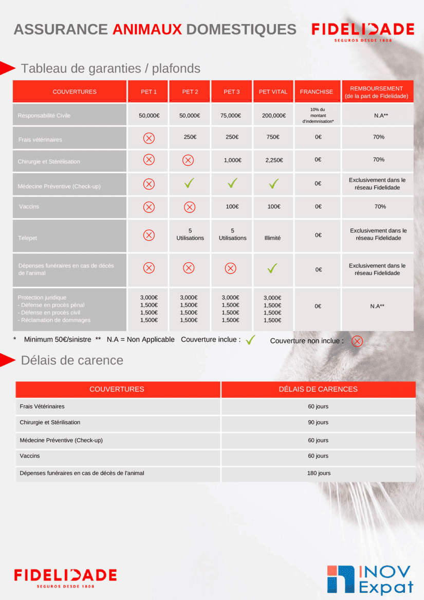 Assurance Animaux au Portugal : Comment cela fonctionne et à quelle compagnie s'adresser ? 52 Assurance Animaux au Portugal : Comment cela fonctionne et à quelle compagnie s'adresser ? 6